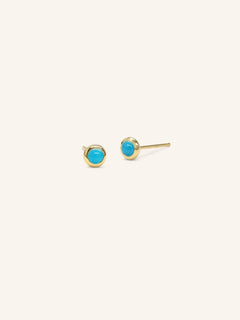 Early Bloom Turquoise Earrings