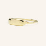 Signet Rectangular Ring