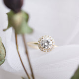 Bridal Rose Round Moissanite Halo Engagement Ring