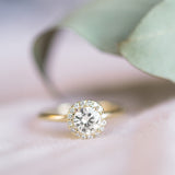 Bridal Rose Round Moissanite Halo Engagement Ring