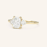 Winter Triangle Radiant Cut Moissanite Three Stone Engagement Ring