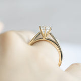 Wedding Arbor Round Moissanite 6-Prong Solitaire Cathedral Engagement Ring