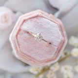 Wedding Arbor Round Moissanite 6-Prong Solitaire Cathedral Engagement Ring