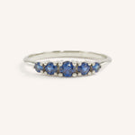 White gold Lovett five stone blue sapphire anniversary ring front view on white background