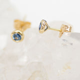 Early Bloom Blue Sapphire Earrings