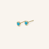 Early Bloom Turquoise Earrings